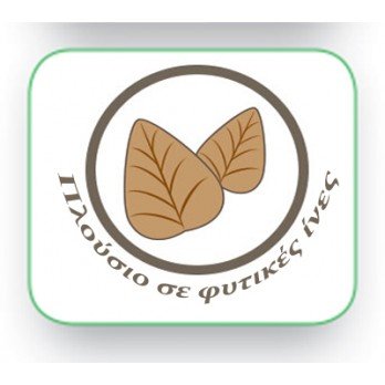 Rice cakes with quinoa ΒΙΟ 100gr Rice cakes with quinoa ΒΙΟ 100gr