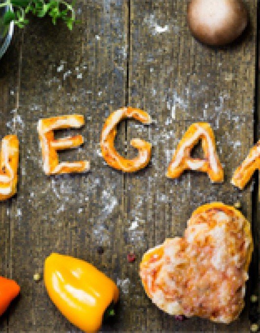 Vegan Vegan