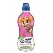 ΦΡΟΥΤΟΧΥΜΟΣ PAW PATROL BΙΟ 330ml Νέα ΦΡΟΥΤΟΧΥΜΟΣ PAW PATROL BΙΟ 330ml Νέα