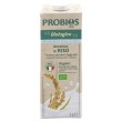 Rice drink natural ΒΙΟ 1LT Drink & Juices Rice drink natural ΒΙΟ 1LT Drink & Juices