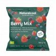 ΦΡΟΥΤΑ ΔΑΣΟΥΣ (BERRY MIX) ΒΙΟ 300g Φρούτα ΦΡΟΥΤΑ ΔΑΣΟΥΣ (BERRY MIX) ΒΙΟ 300g Φρούτα