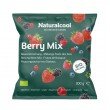 BERRY MIX ΒΙΟ 300g fruits
