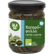 ΚΑΠΑΡΟΦΥΛΛΑ ΕΛΛΗΝΙΚΑ ΣΕ ΑΛΜΗ ΒΙΟ 240g Νέα