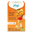 YOGI PEACH-MANGO - COLD BREW ΒΙΟ 27g