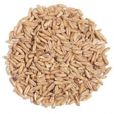 ΒΡΩΜΗ ΒΙΟ ΧΥΜΑ 25Kg
