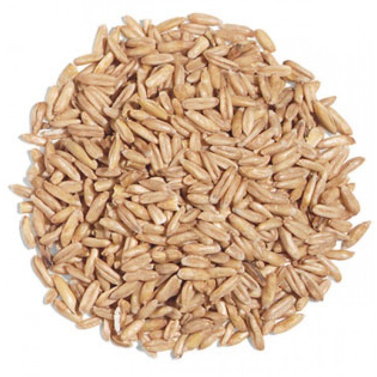 ΒΡΩΜΗ ΒΙΟ ΧΥΜΑ 25Kg
