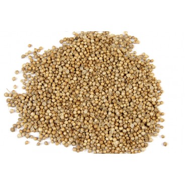 ΚΟΛΙΑΝΔΡΟΣ ΟΛΟΚΛΗΡΟΣ ΧΥΜΑ ΒΙΟ 15kg