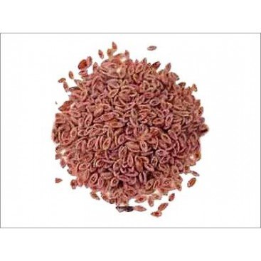 ΨΥΛΙΟΥΜ (PSYLLIUM) BIO ΧΥΜΑ 1Kg