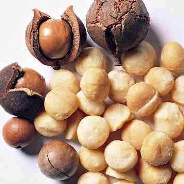ΦΥΣΤΙΚΙ MACADAMIA ΒΙΟ ΧΥΜΑ  11,34Kg 